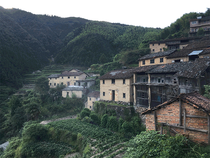 BIM建筑|崖居古村的新生：松阳•飞蔦集二期 / 孟凡浩-line+建筑事务所