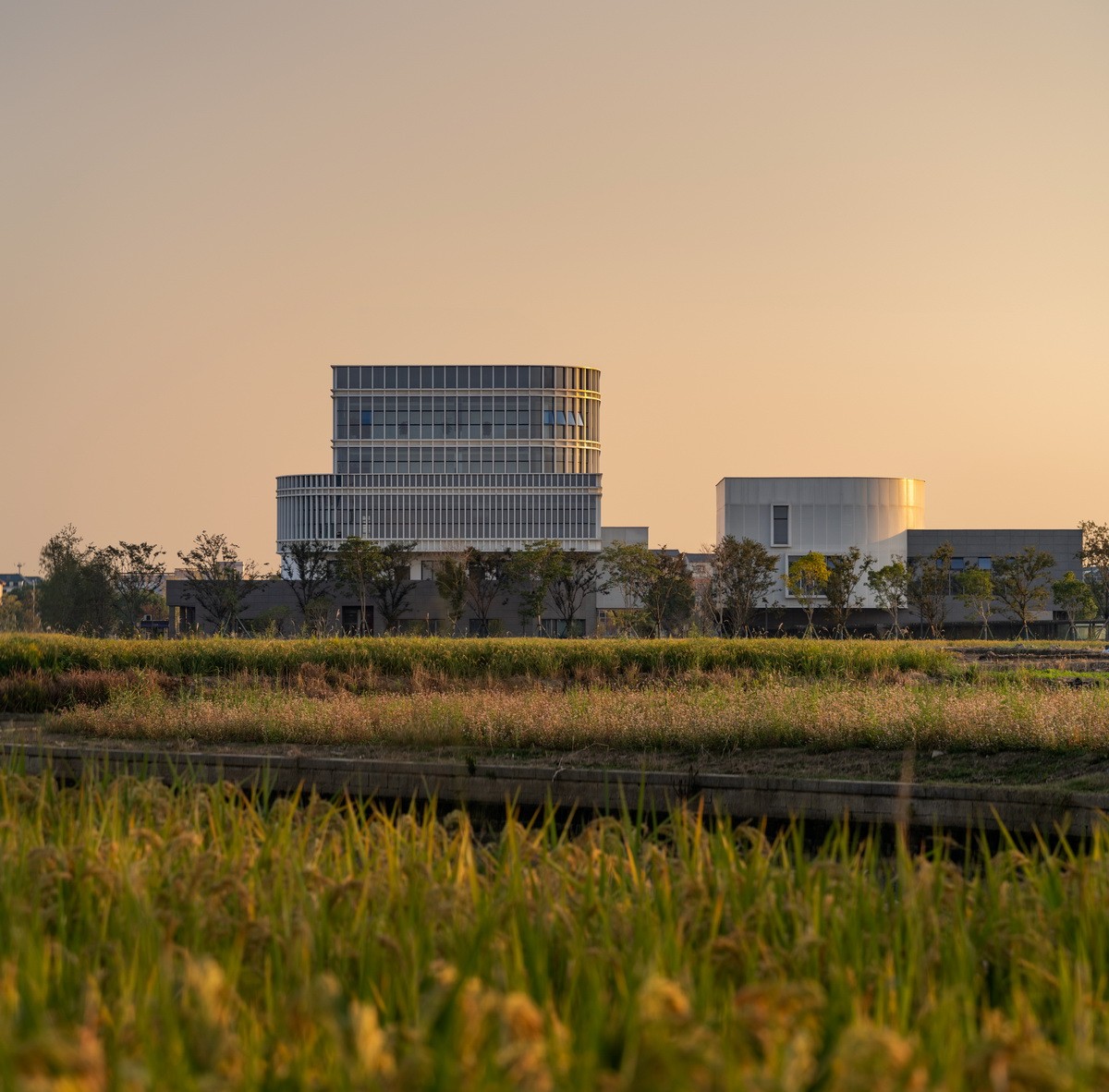 BIM建筑|海宁长安国际花卉产业园 / 森上建筑+朴筑建筑