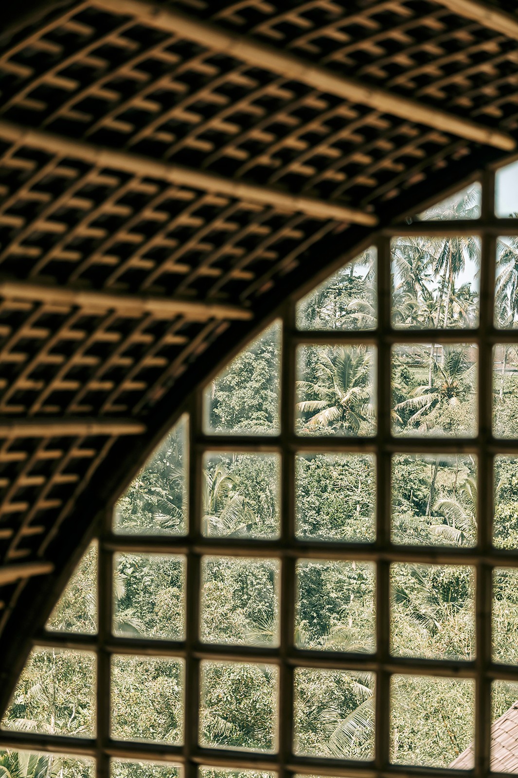 BIM建筑|Akar 餐厅 / Leon Design Agency