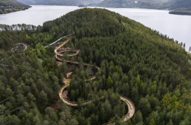 BIM建筑|EFFEKT设计“所有自然爱好者”都可以访问的树顶人行道-BIM建筑网