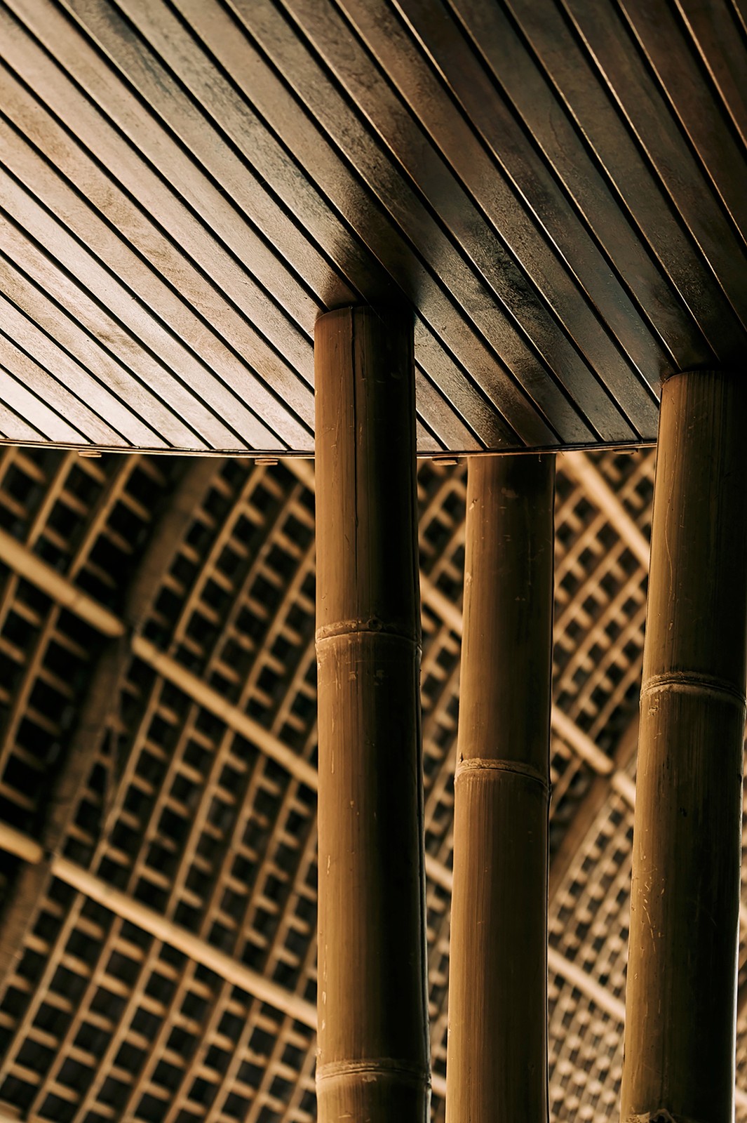 BIM建筑|Akar 餐厅 / Leon Design Agency