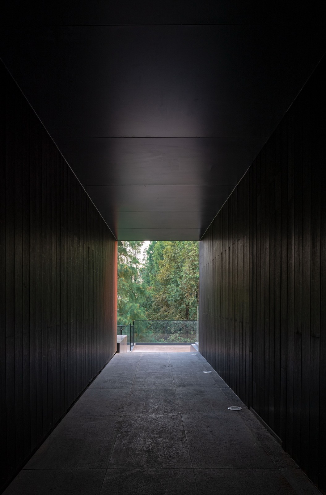 BIM建筑|桐乡濮院红旗漾杉林部落共享餐厅 / 上海严旸建筑设计工作室