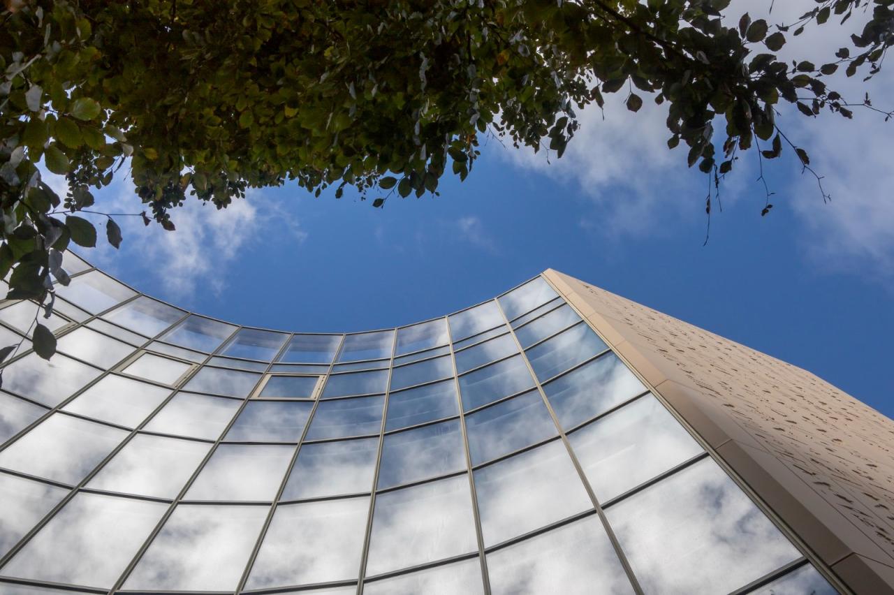 BIM建筑|埃及之家学生宿舍 / Dar Arafa Architecture + SAM architecture