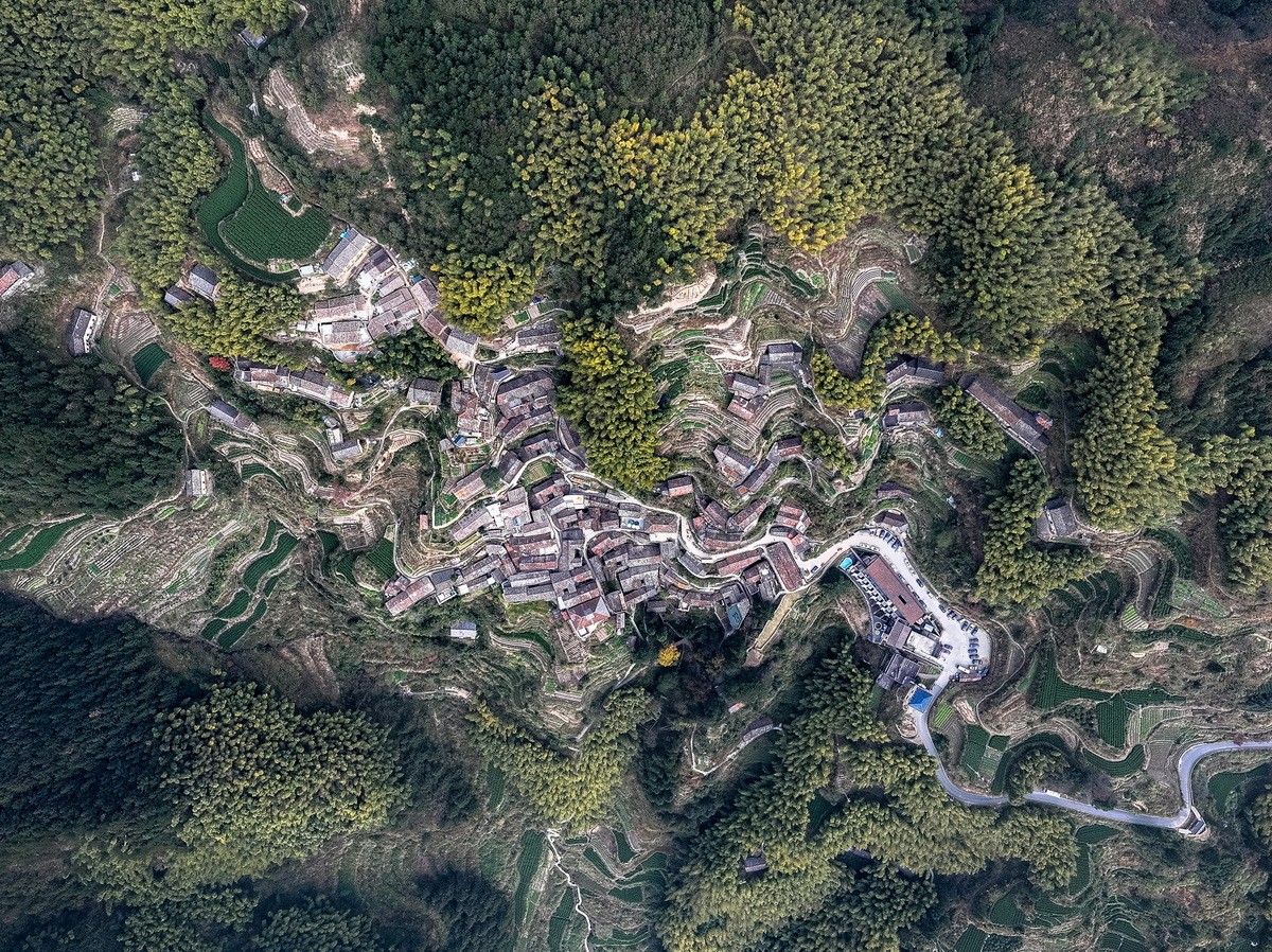 BIM建筑|崖居古村的新生：松阳•飞蔦集二期 / 孟凡浩-line+建筑事务所