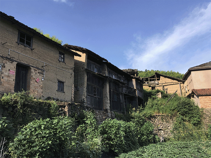 BIM建筑|崖居古村的新生：松阳•飞蔦集二期 / 孟凡浩-line+建筑事务所