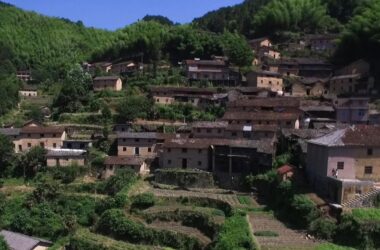 BIM建筑|崖居古村的新生：松阳•飞蔦集二期 / 孟凡浩-line+建筑事务所-BIM建筑网