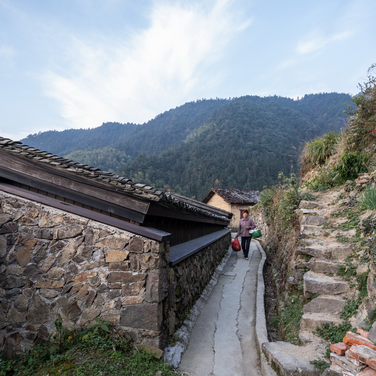 BIM建筑|崖居古村的新生：松阳•飞蔦集二期 / 孟凡浩-line+建筑事务所