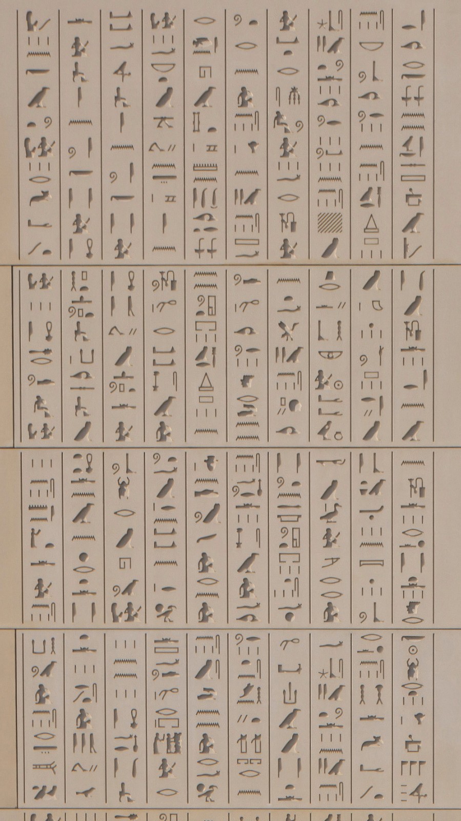 BIM建筑|埃及之家学生宿舍 / Dar Arafa Architecture + SAM architecture