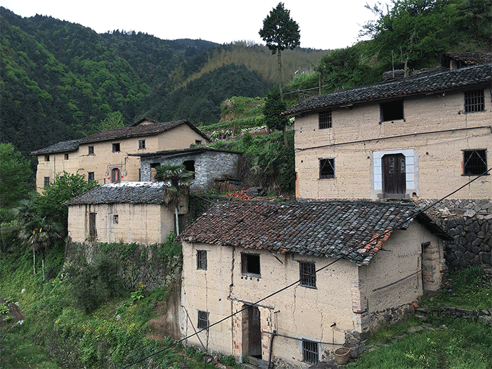 BIM建筑|崖居古村的新生：松阳•飞蔦集二期 / 孟凡浩-line+建筑事务所