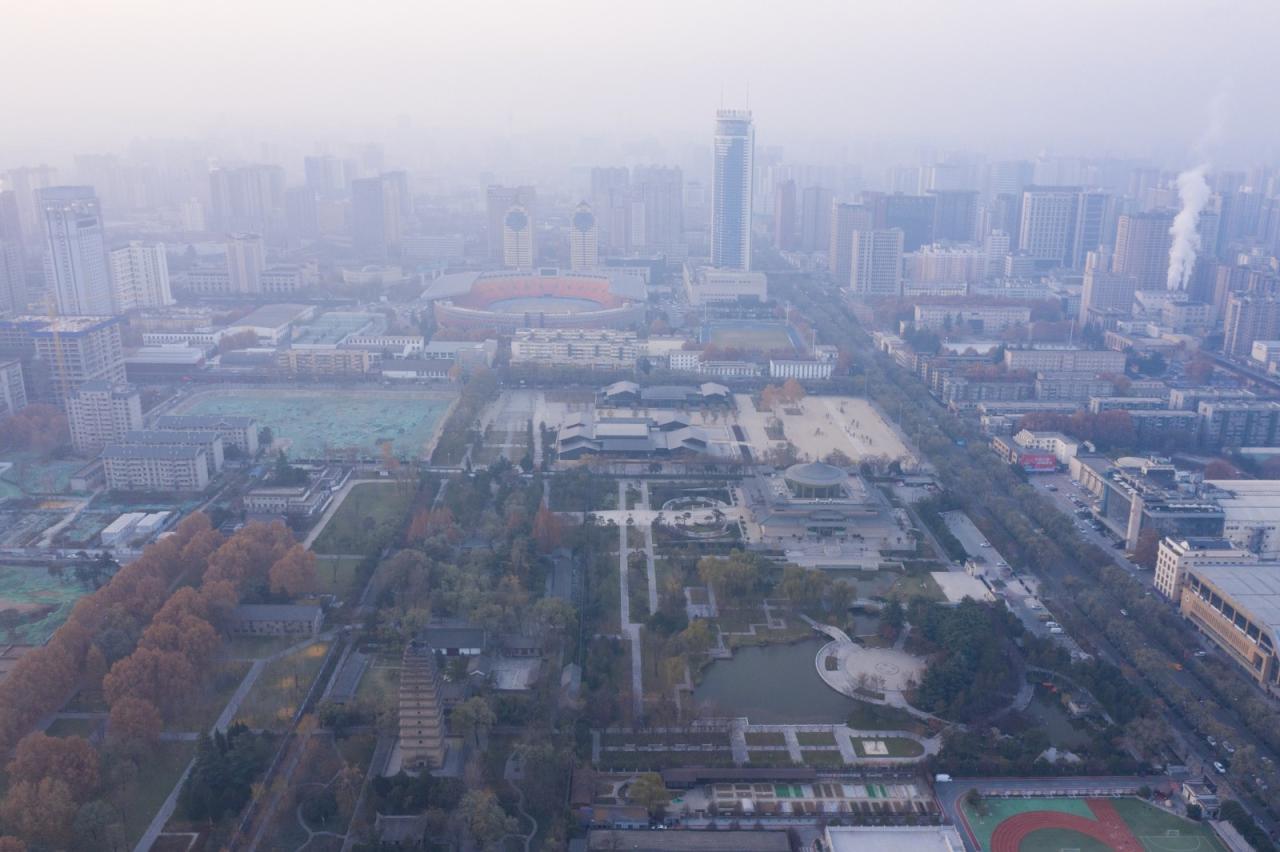 BIM建筑|安仁坊遗址展示厅与安仁驿馆 / 上海秉仁建筑师事务所