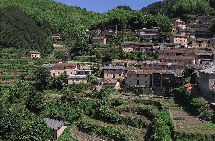 BIM建筑|崖居古村的新生：松阳•飞蔦集二期 / 孟凡浩-line+建筑事务所