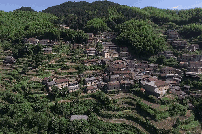 BIM建筑|崖居古村的新生：松阳•飞蔦集二期 / 孟凡浩-line+建筑事务所