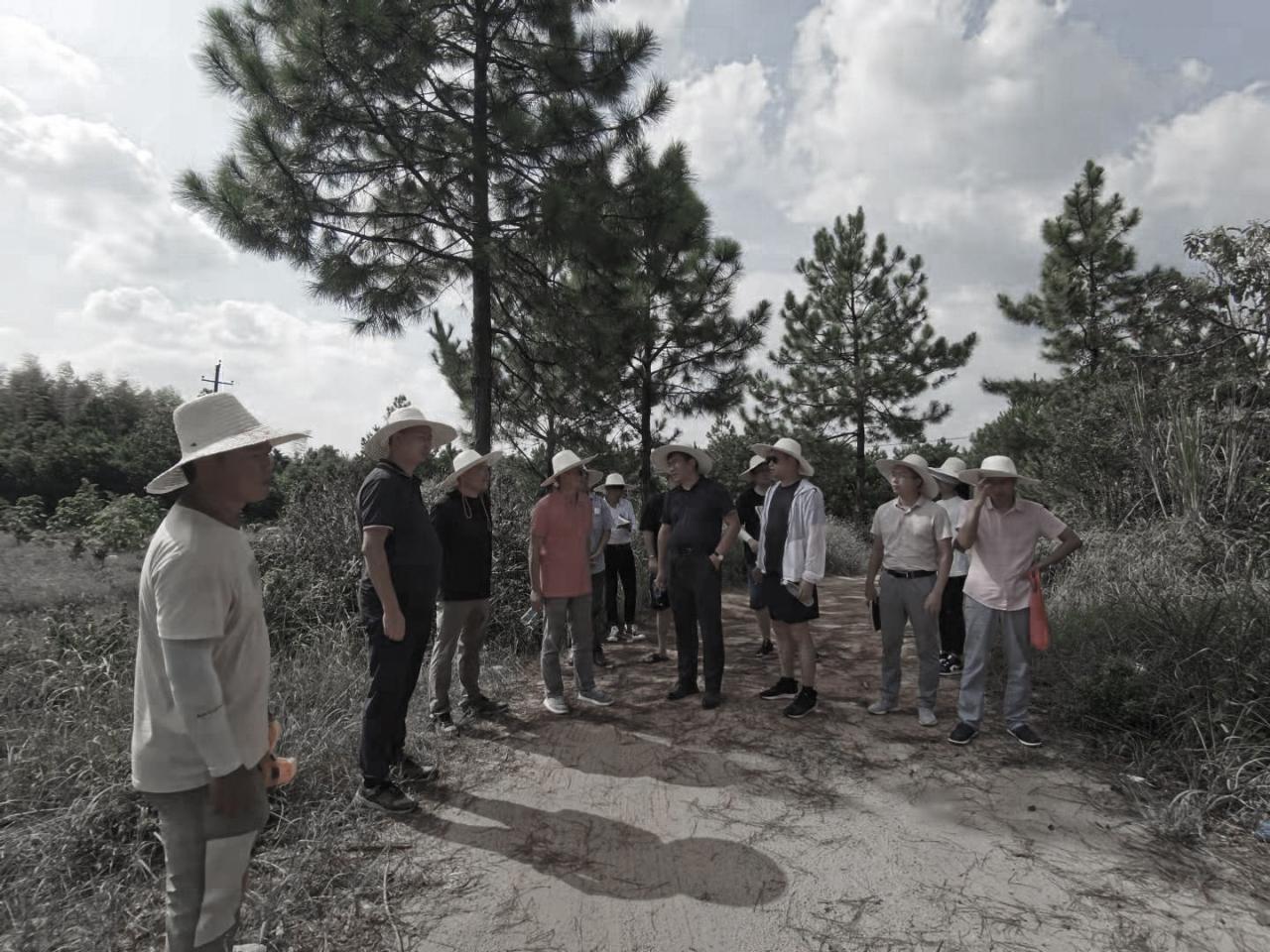 BIM建筑|村庄文化：一砖一瓦，寻回乡愁，婺源篁岭营造记 / 婺源县村庄文化传媒有限公司