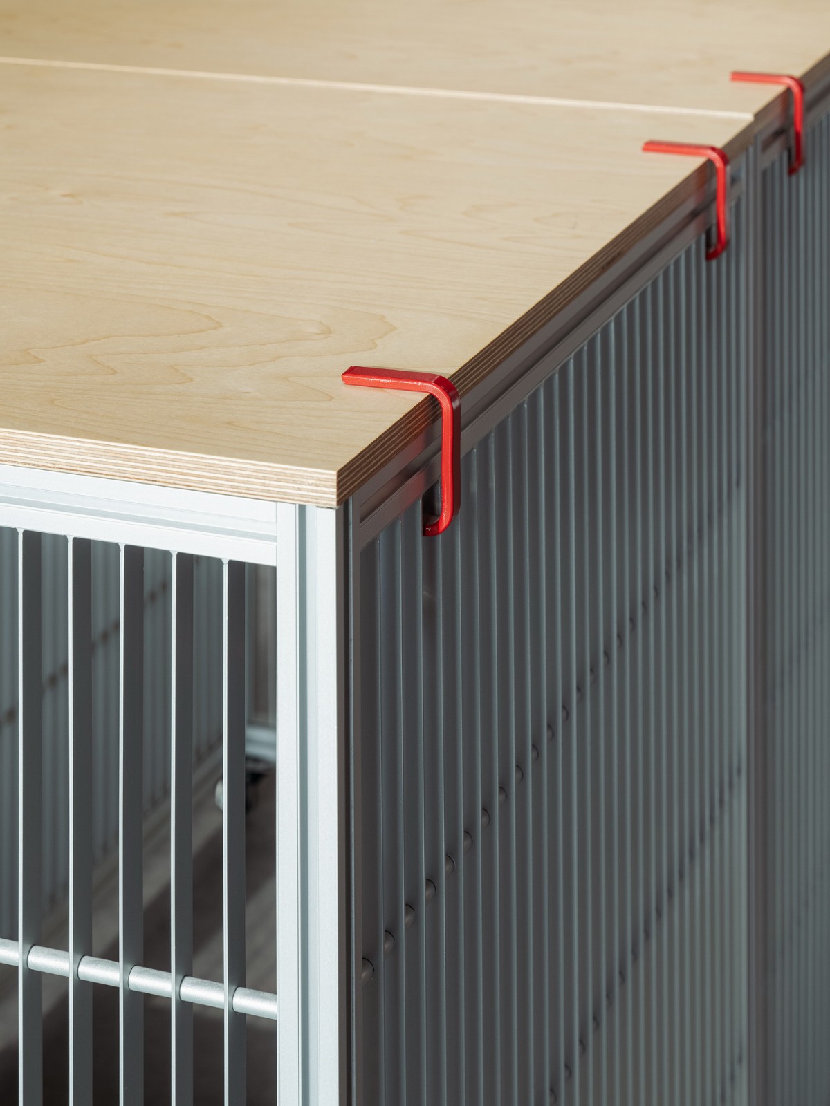 BIM建筑|红点设计博物馆·厦门 / STEPS大台阶建筑