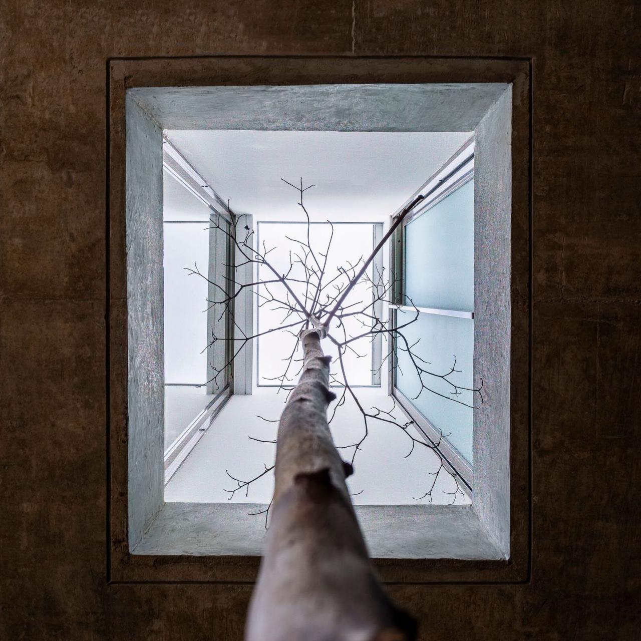 BIM建筑|减法屋 / FGMF