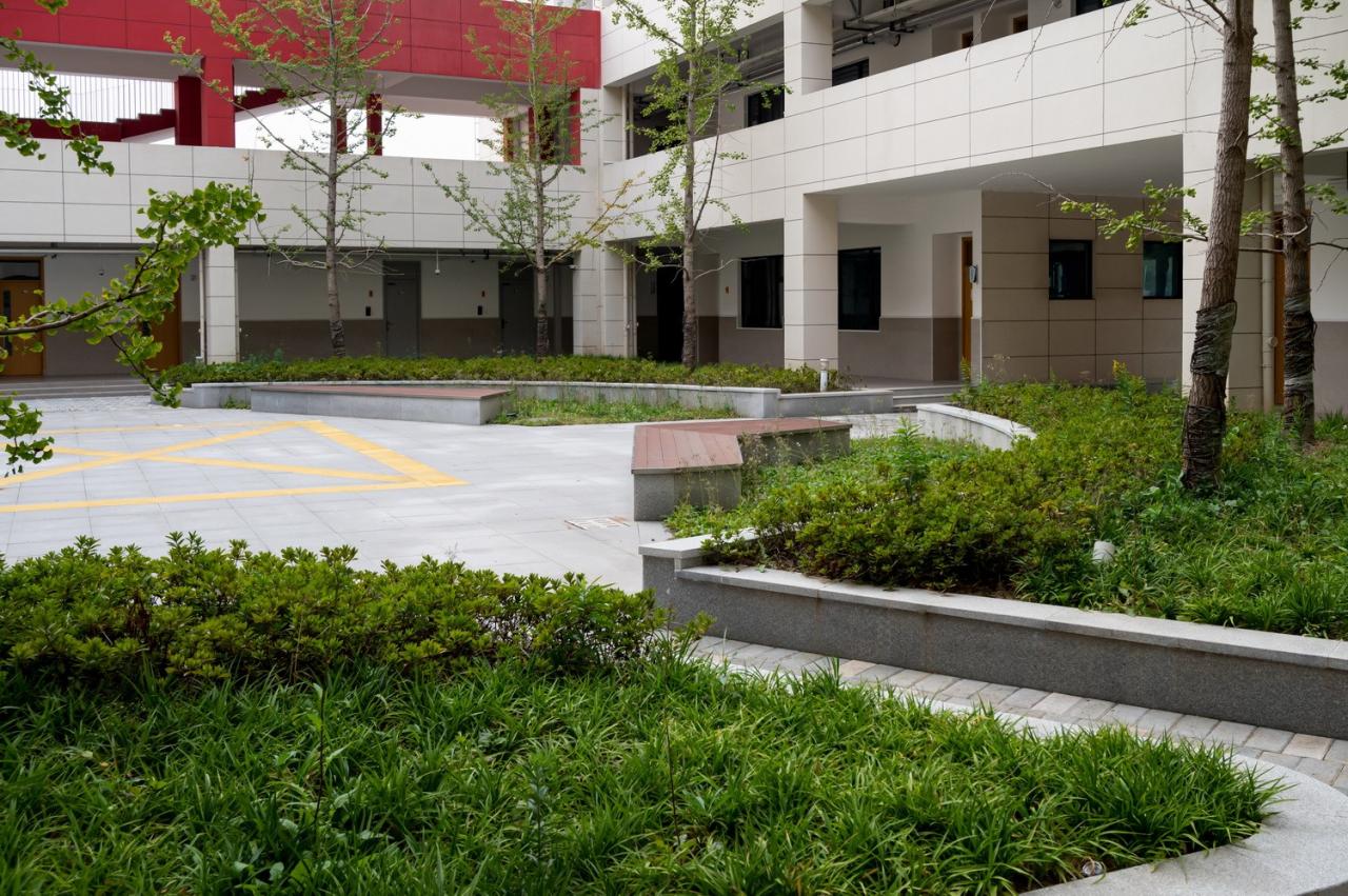 BIM建筑|此时此地：面向走班教学的高密度校园实践——青浦兰生•思源中学 / 创霖-泽柏