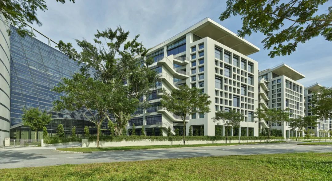 BIM建筑|开启花园办公的未来形态：盛裕集团总部 / Surbana Jurong Campus