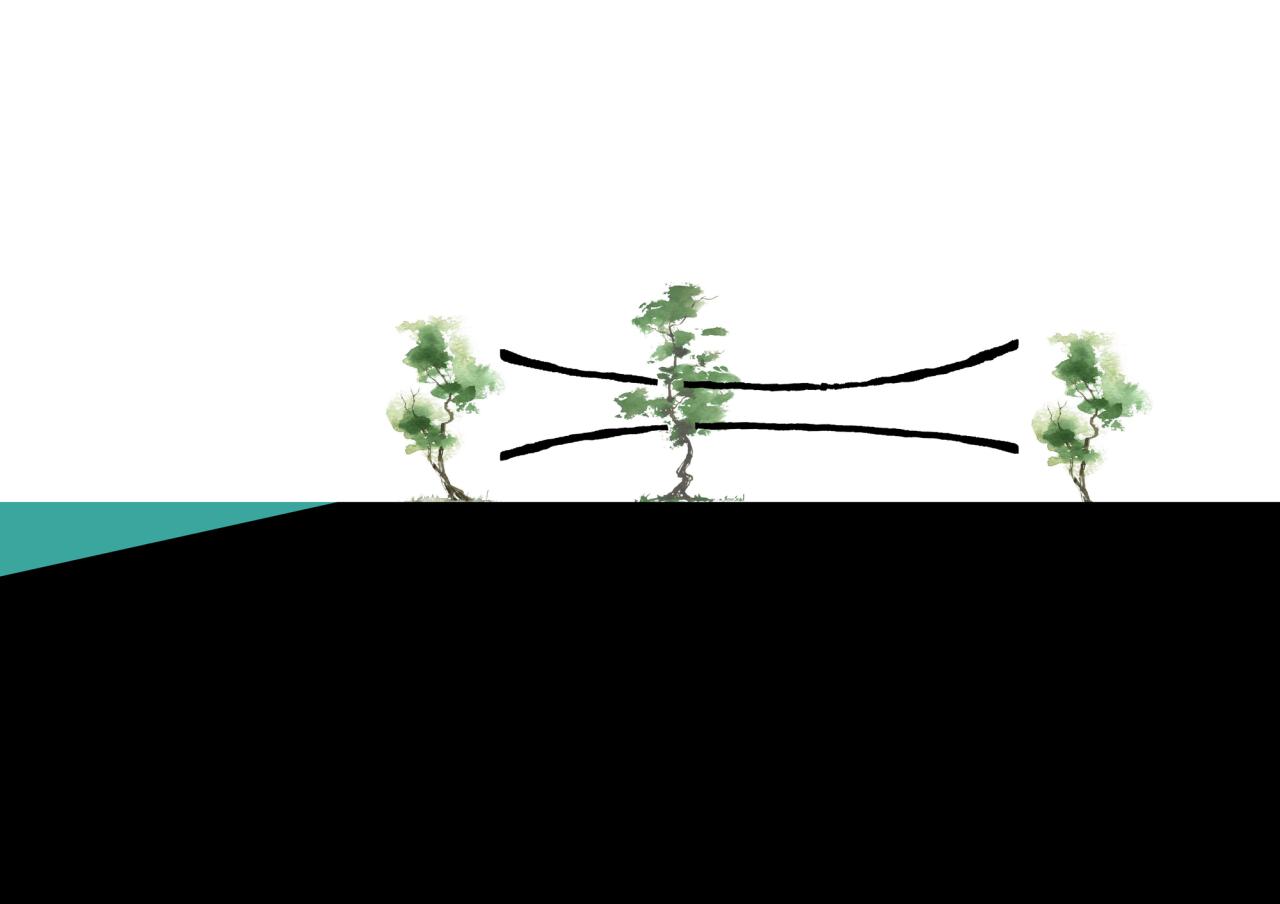 BIM建筑|世纪海角商业街 / 大料建筑