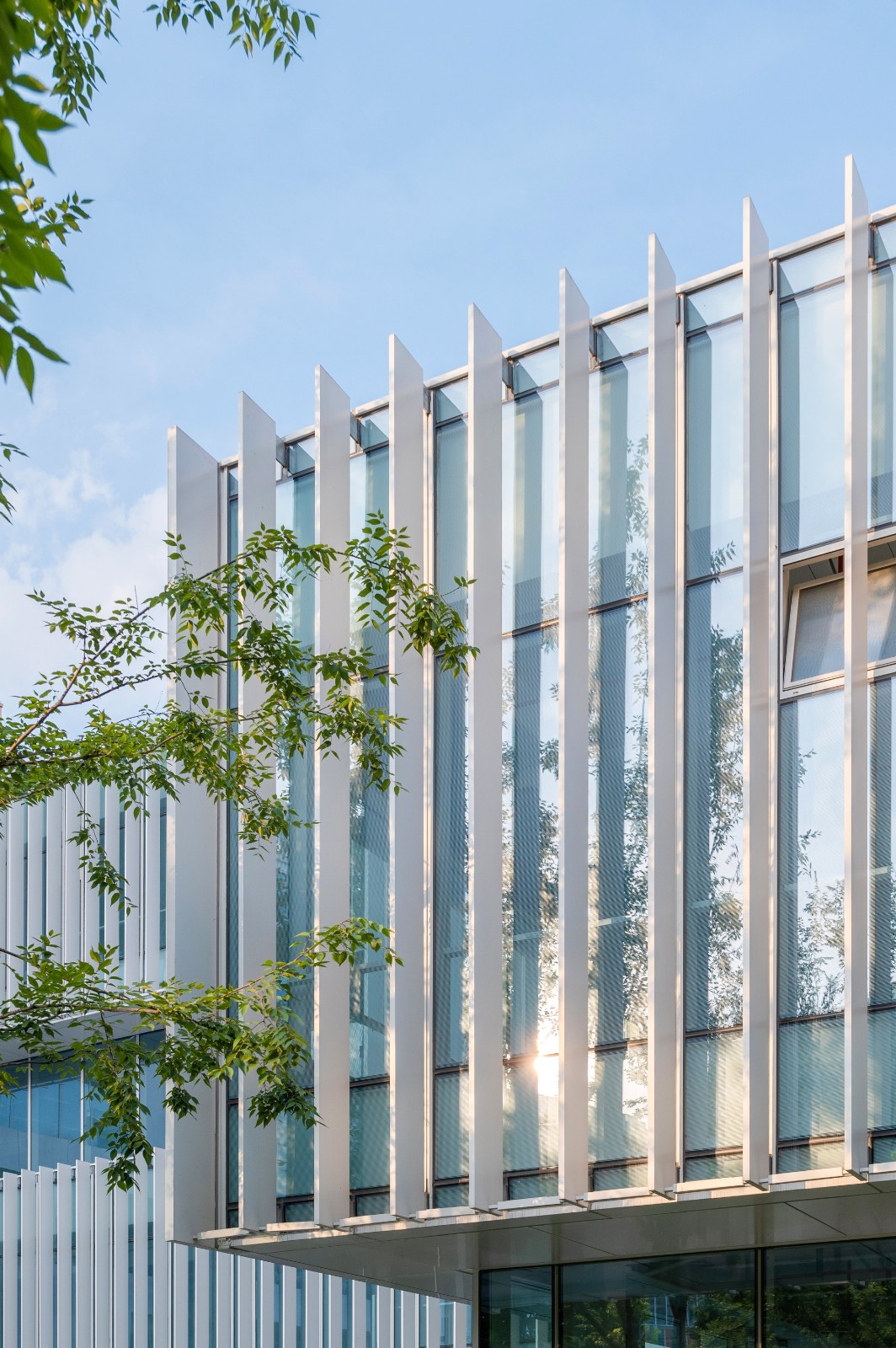 BIM建筑|杭州武林美术馆 / 筑境设计