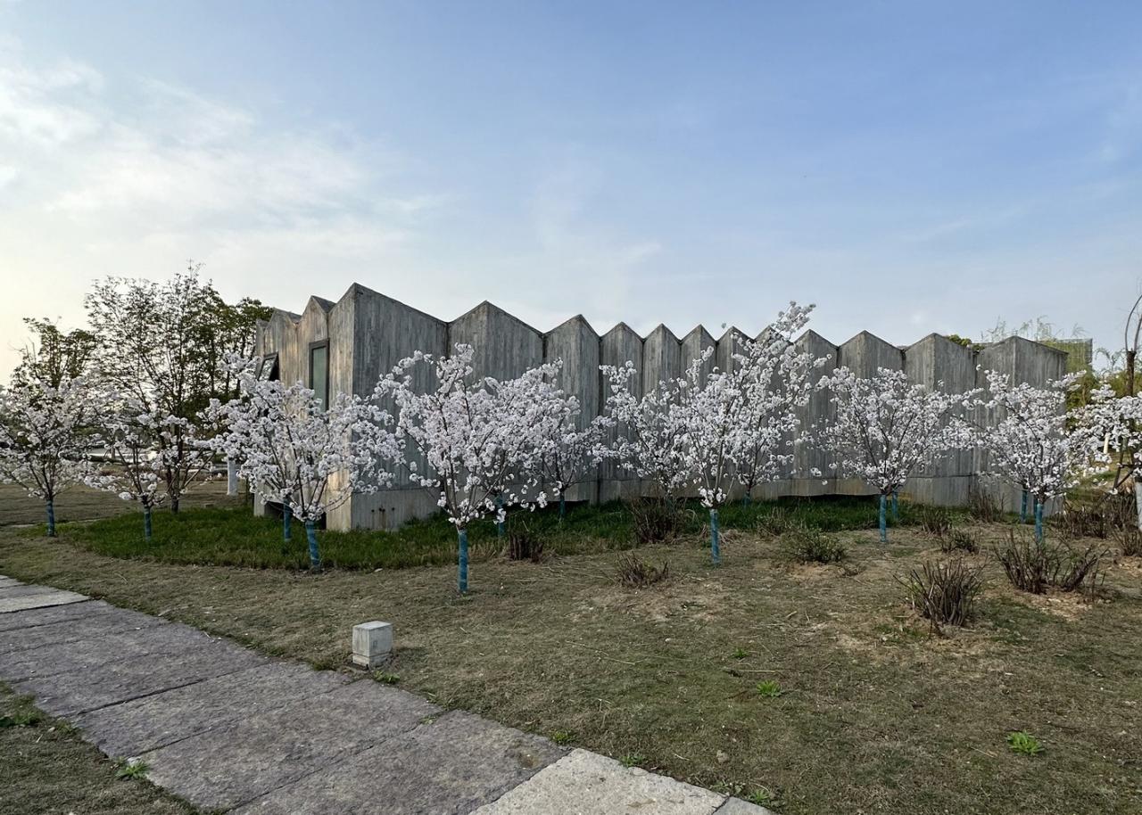 BIM建筑|中国美术学院良渚校区一期全场落成 / 非常建筑