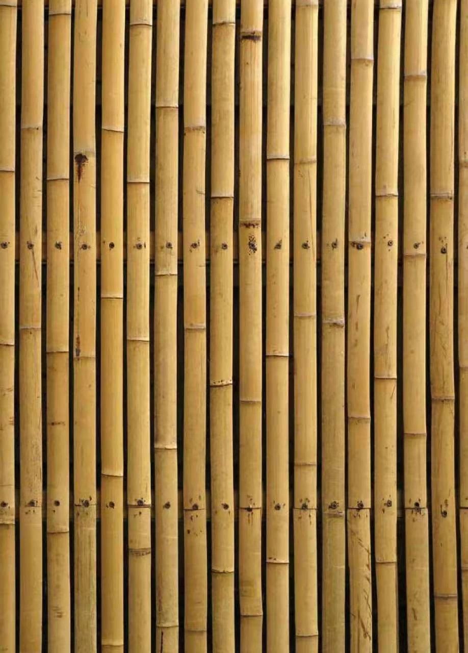 BIM建筑|有没有五一去苏杭的搭子，纯看建筑，不去拥挤的景区？