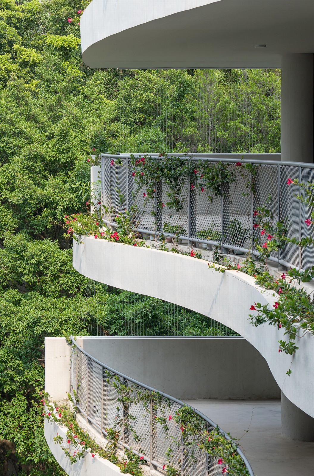 BIM建筑|景龙小学 / 非常建筑