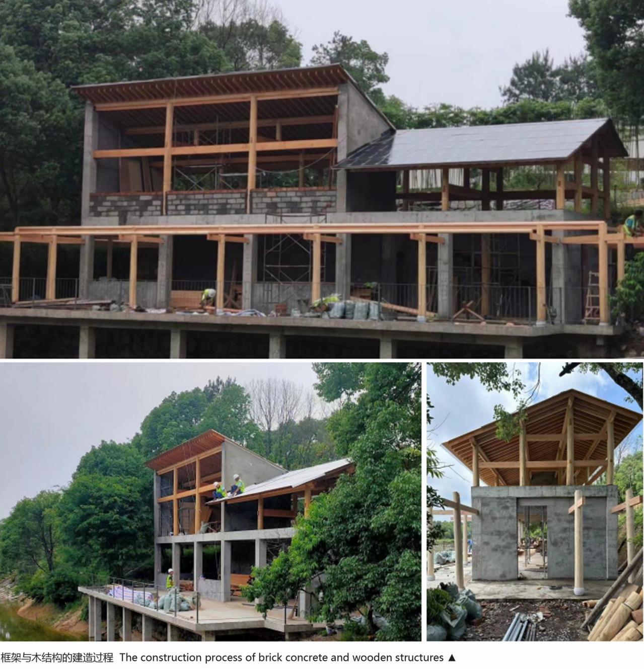 BIM建筑|大沙里乡村咖啡书屋 / 之行建筑