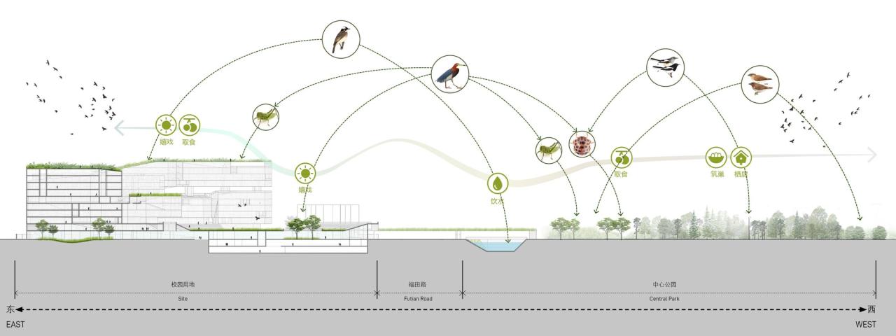 BIM建筑|福田中学校园设计 / reMIX 临界工作室