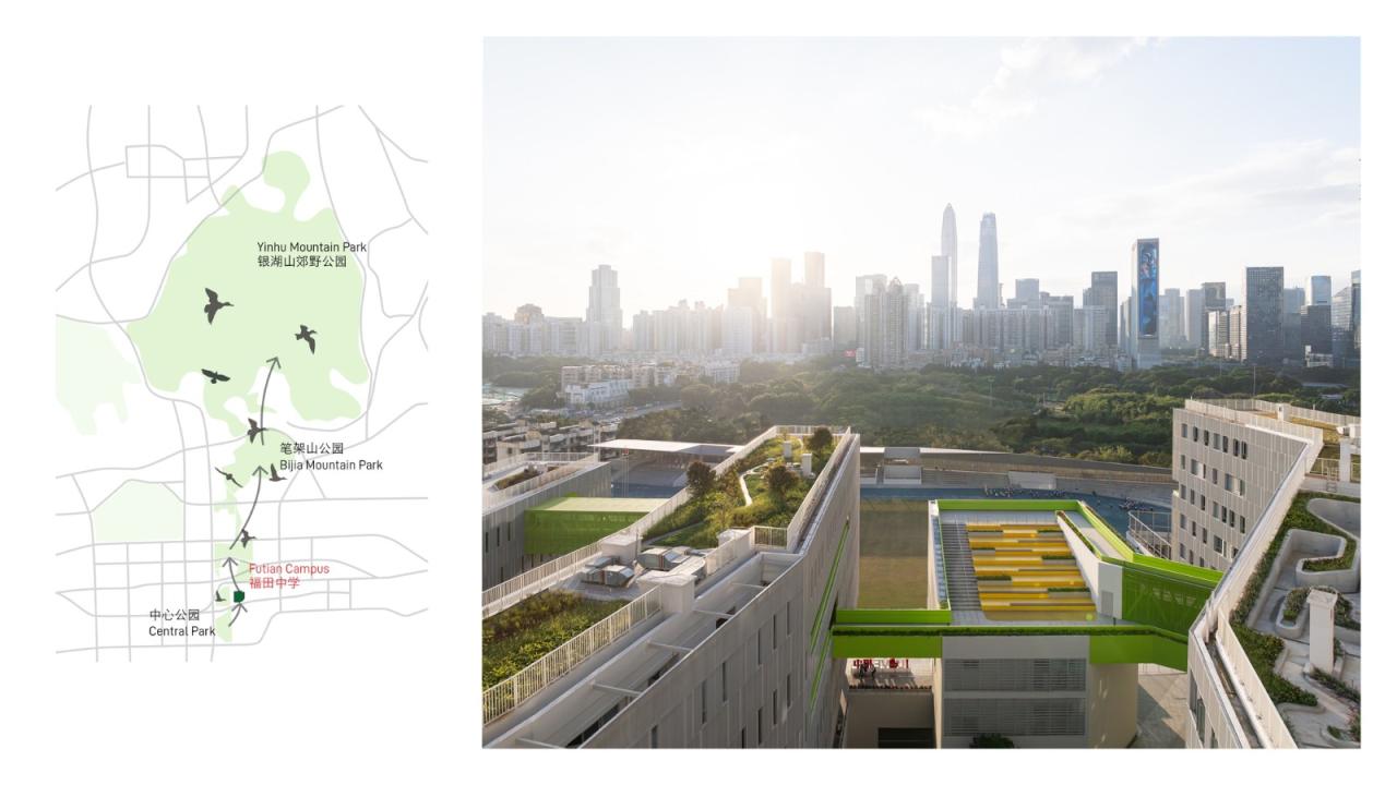 BIM建筑|福田中学校园设计 / reMIX 临界工作室