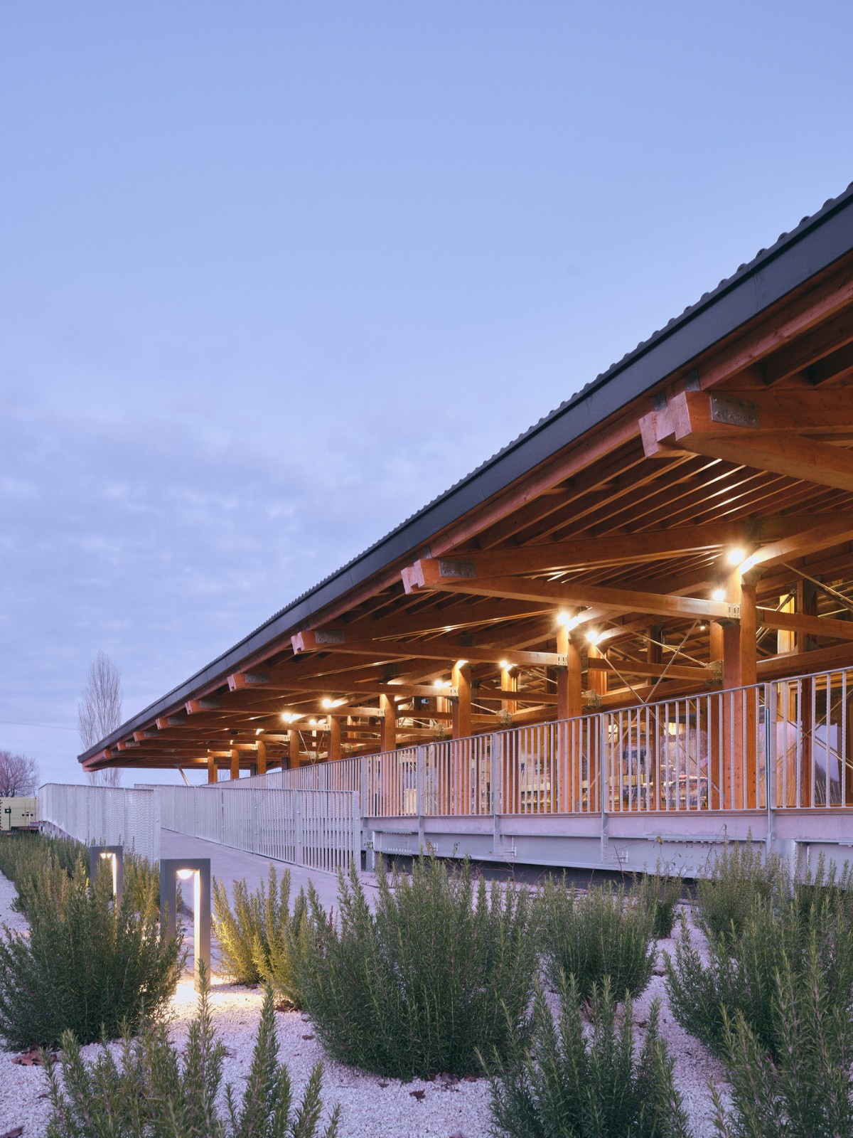 BIM建筑|恰塔霍裕克游客中心 / TEGET