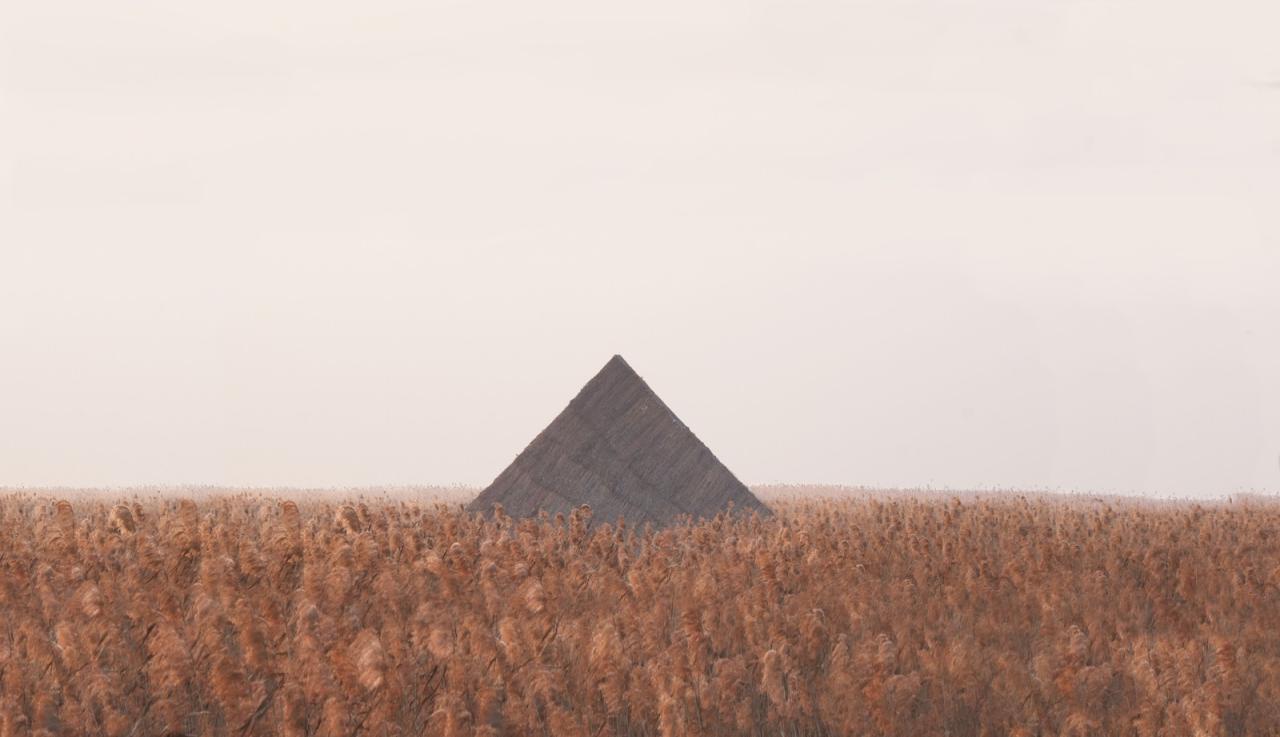 BIM建筑|疗愈之“山” / 杜扬工作室