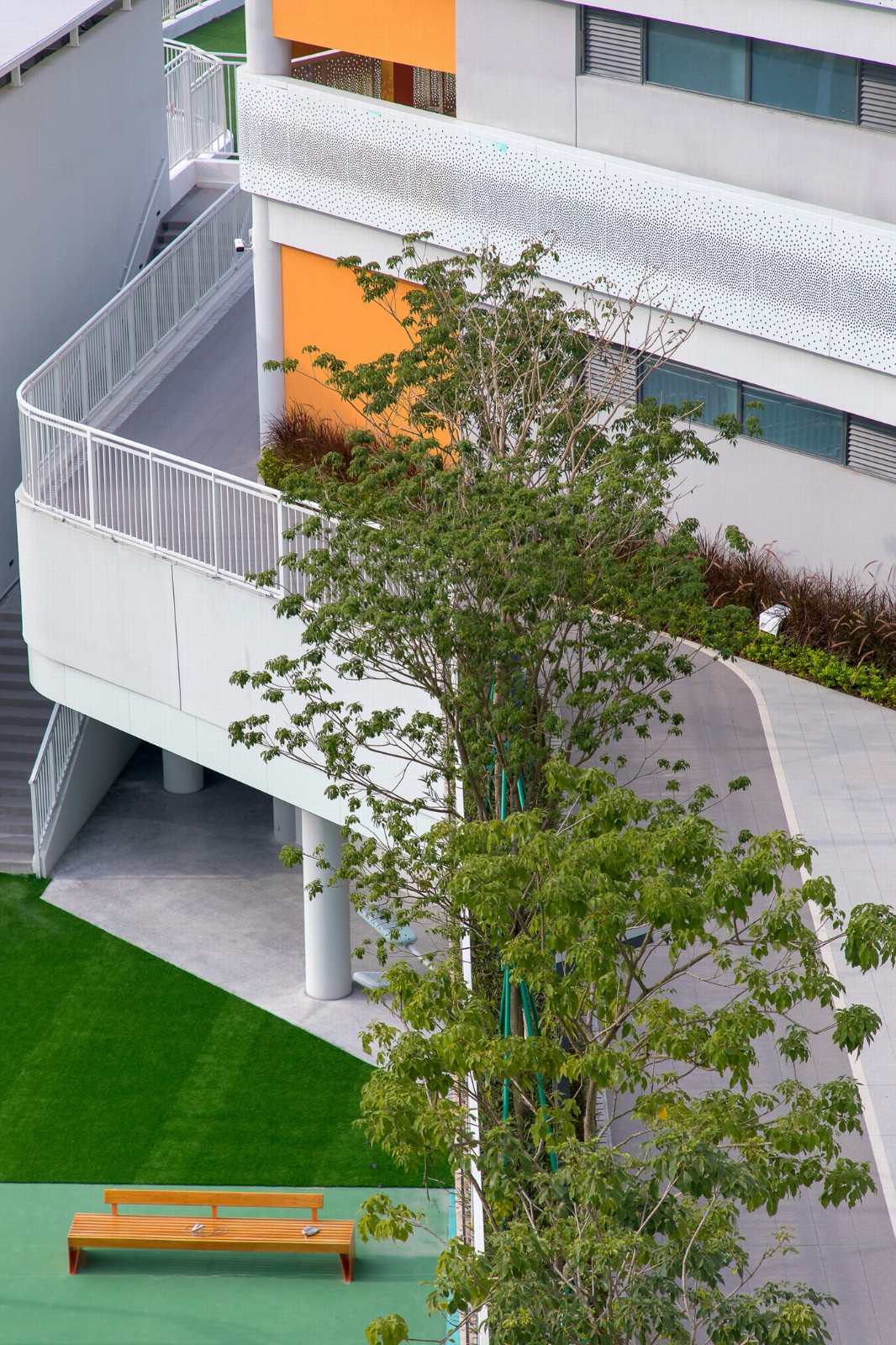 BIM建筑|南方科技大学附属实验学校 / 立方设计