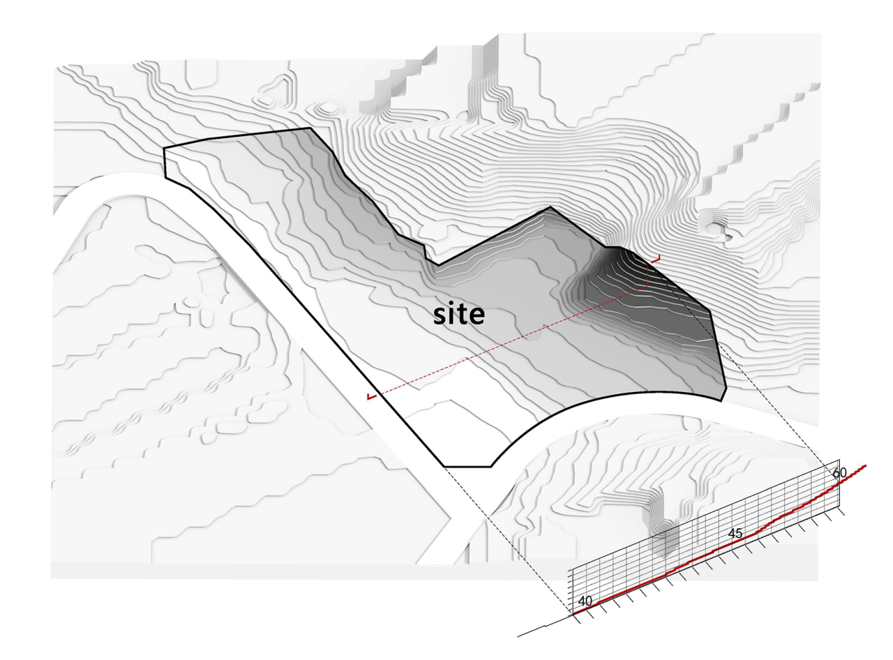 BIM建筑|深圳市光明国际马术中心/ 汤桦建筑设计