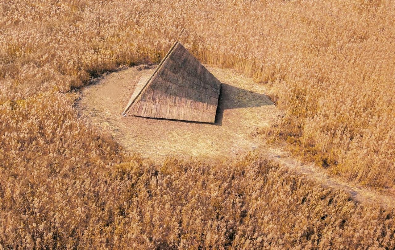 BIM建筑|疗愈之“山” / 杜扬工作室