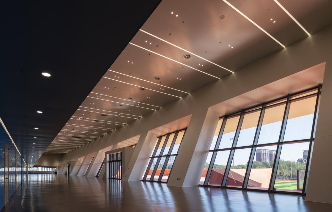 BIM建筑|白鹭齐飞 湿地展翼：渤海科技大学体育馆 /中科院建筑设计研究院有限公司