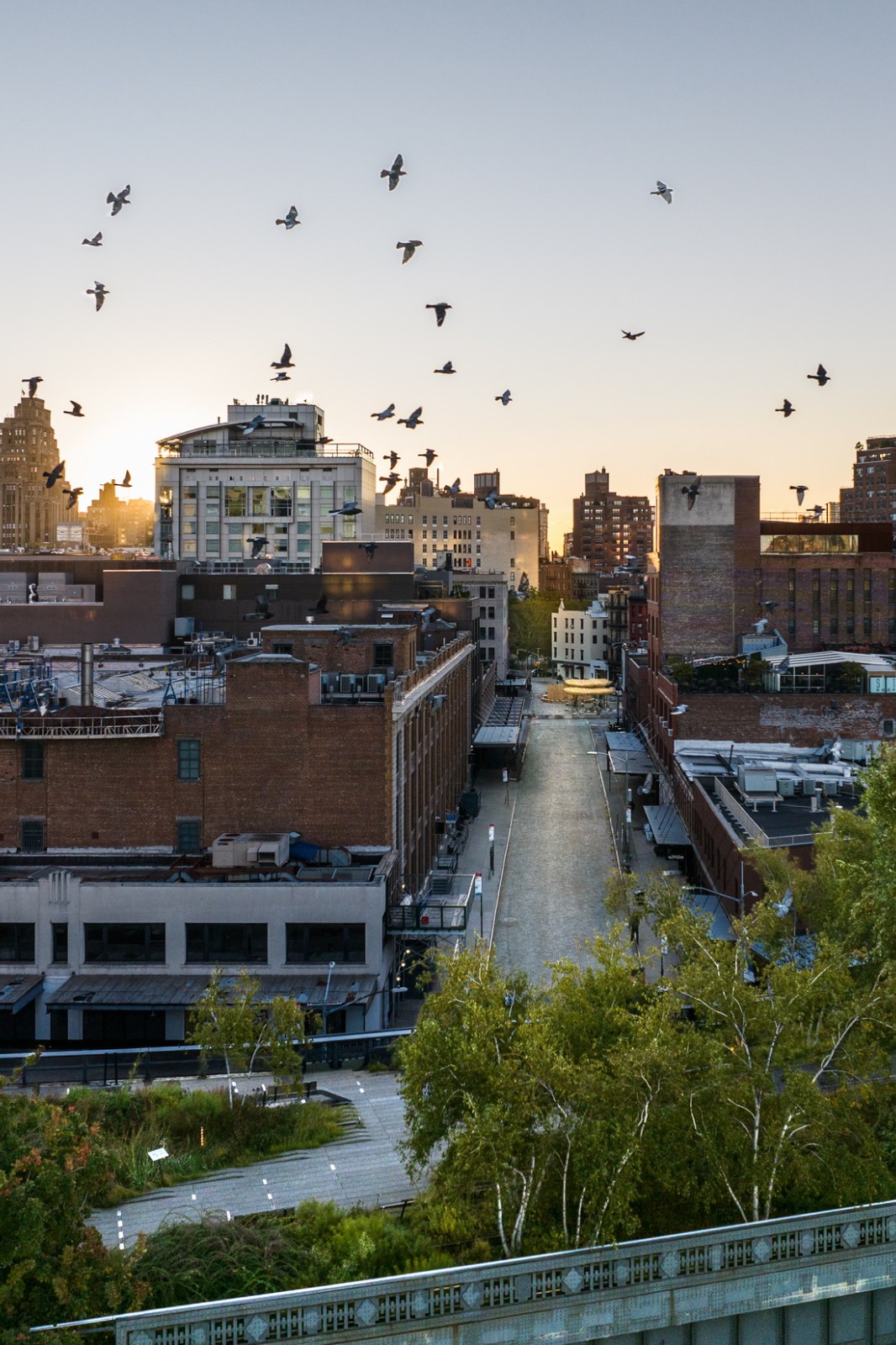 BIM建筑| 竹云 / 叙向建筑