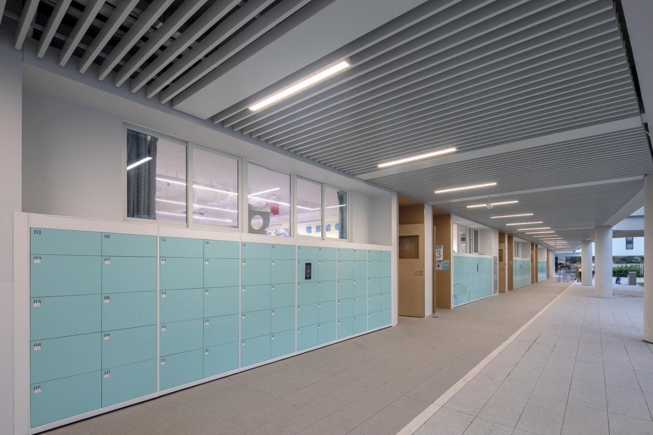 BIM建筑|南方科技大学附属实验学校 / 立方设计