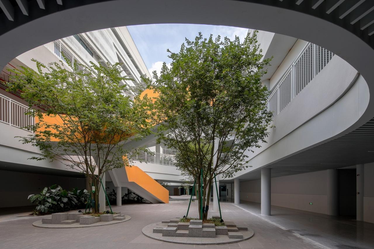 BIM建筑|南方科技大学附属实验学校 / 立方设计