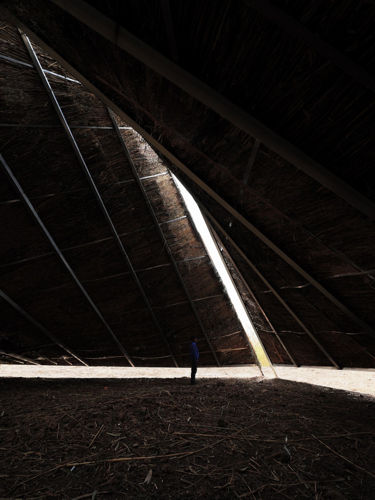 BIM建筑|疗愈之“山” / 杜扬工作室