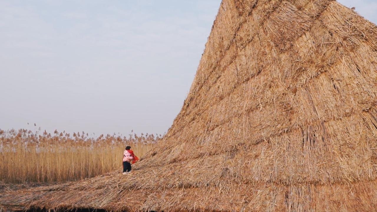 BIM建筑|疗愈之“山” / 杜扬工作室