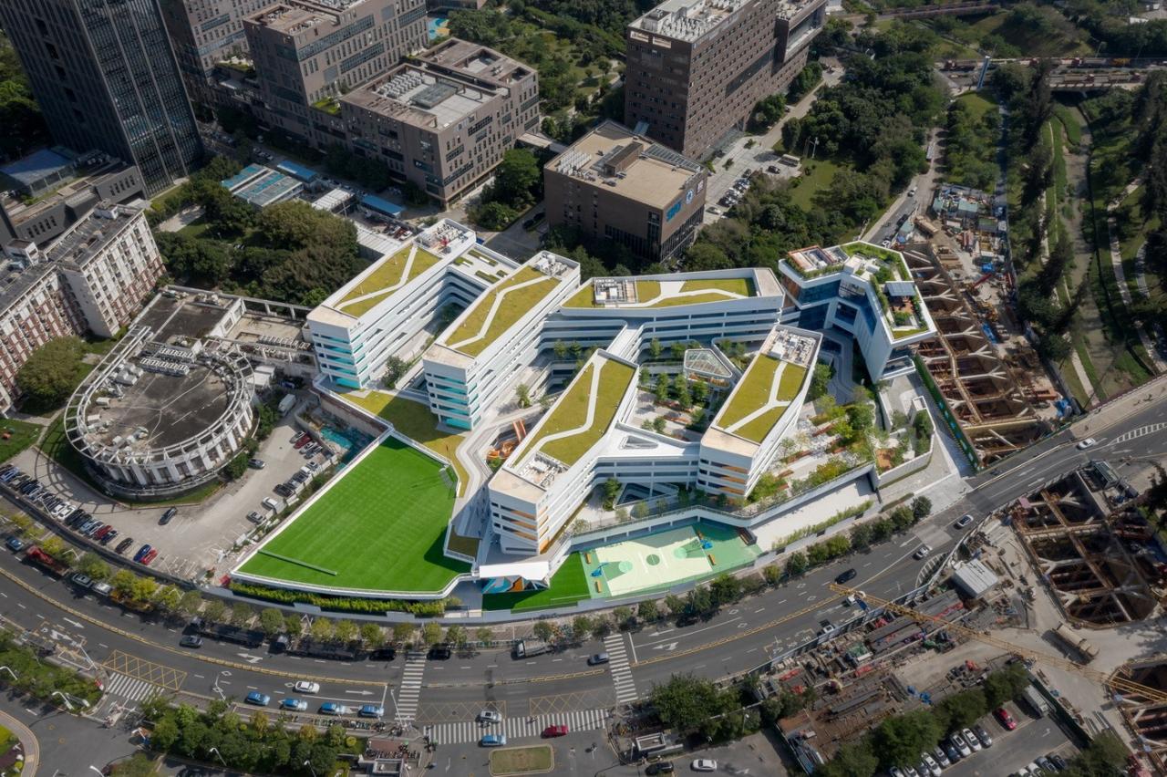 BIM建筑|南方科技大学附属实验学校 / 立方设计