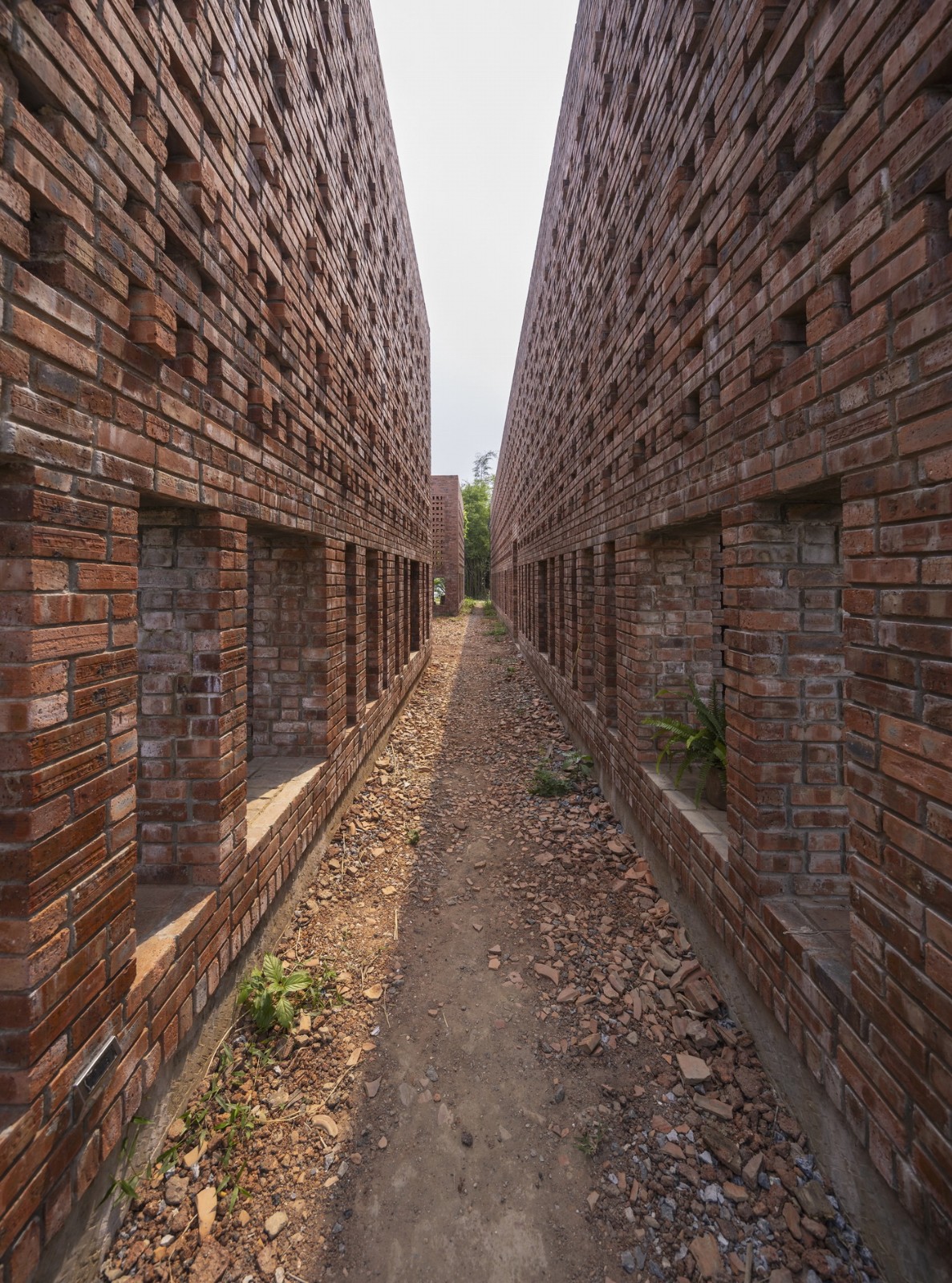 BIM建筑|陶俑工作室 / Tropical Space