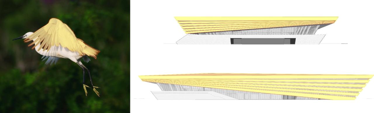 BIM建筑|白鹭齐飞 湿地展翼：渤海科技大学体育馆 /中科院建筑设计研究院有限公司