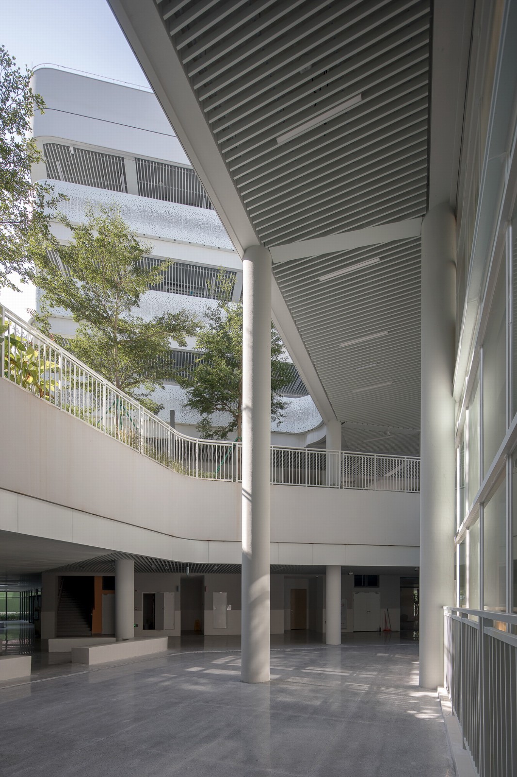 BIM建筑|南方科技大学附属实验学校 / 立方设计