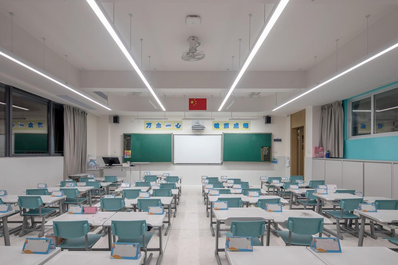 BIM建筑|南方科技大学附属实验学校 / 立方设计