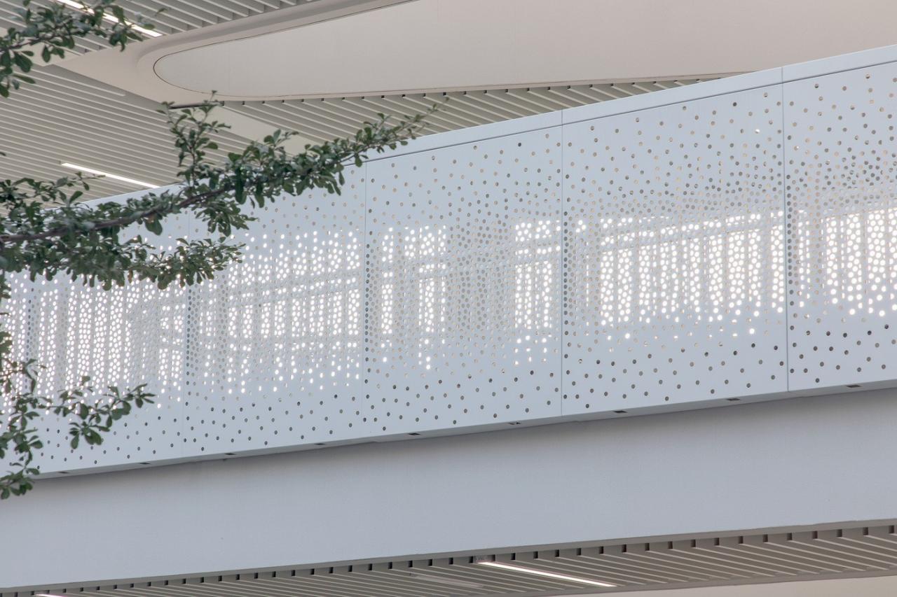 BIM建筑|南方科技大学附属实验学校 / 立方设计