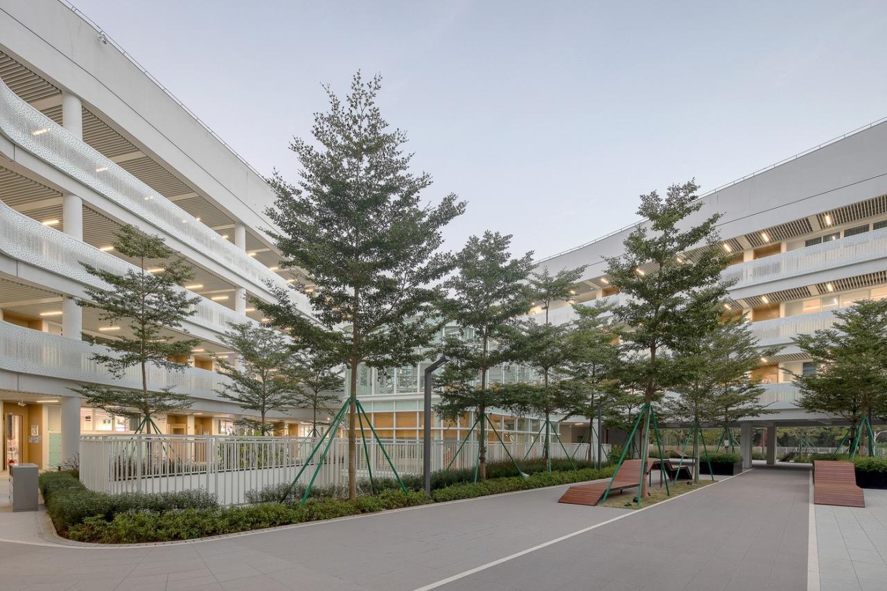 BIM建筑|南方科技大学附属实验学校 / 立方设计