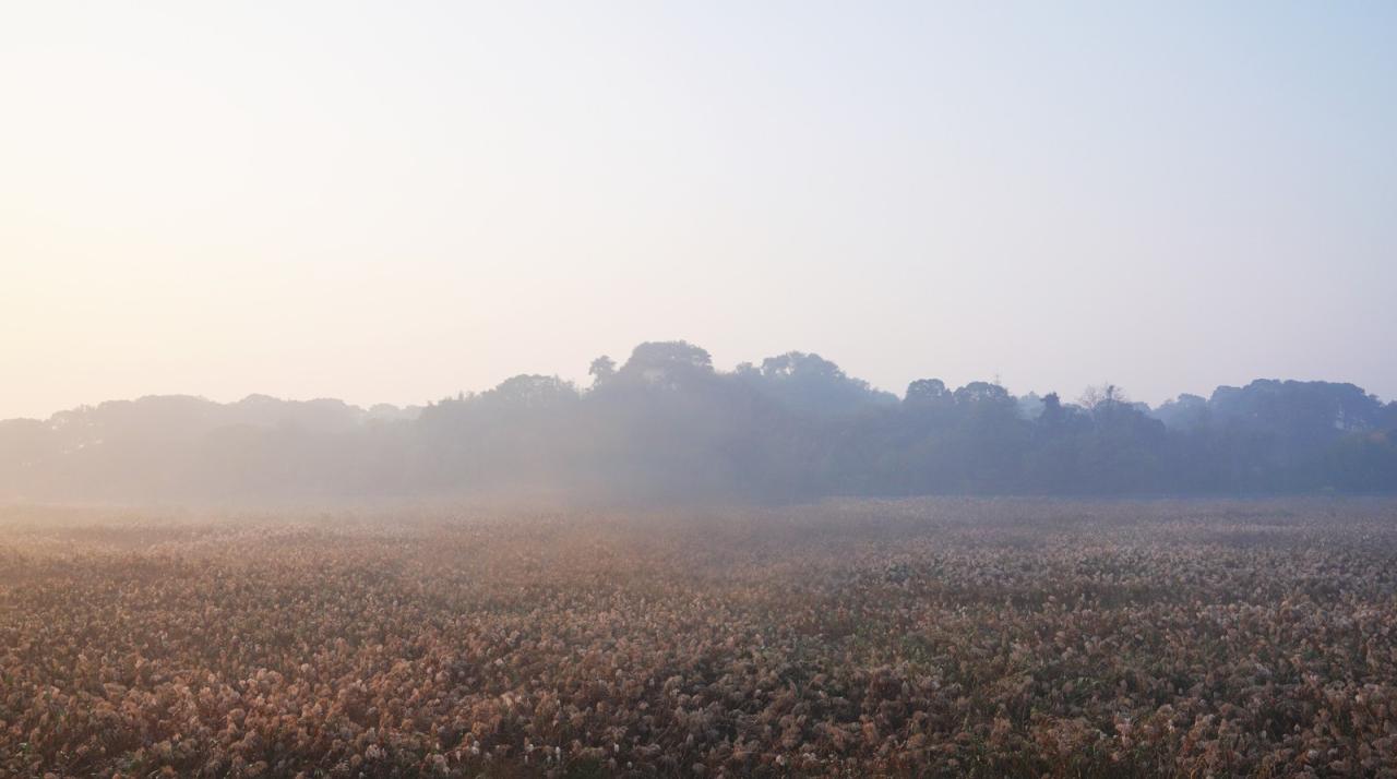 BIM建筑|疗愈之“山” / 杜扬工作室