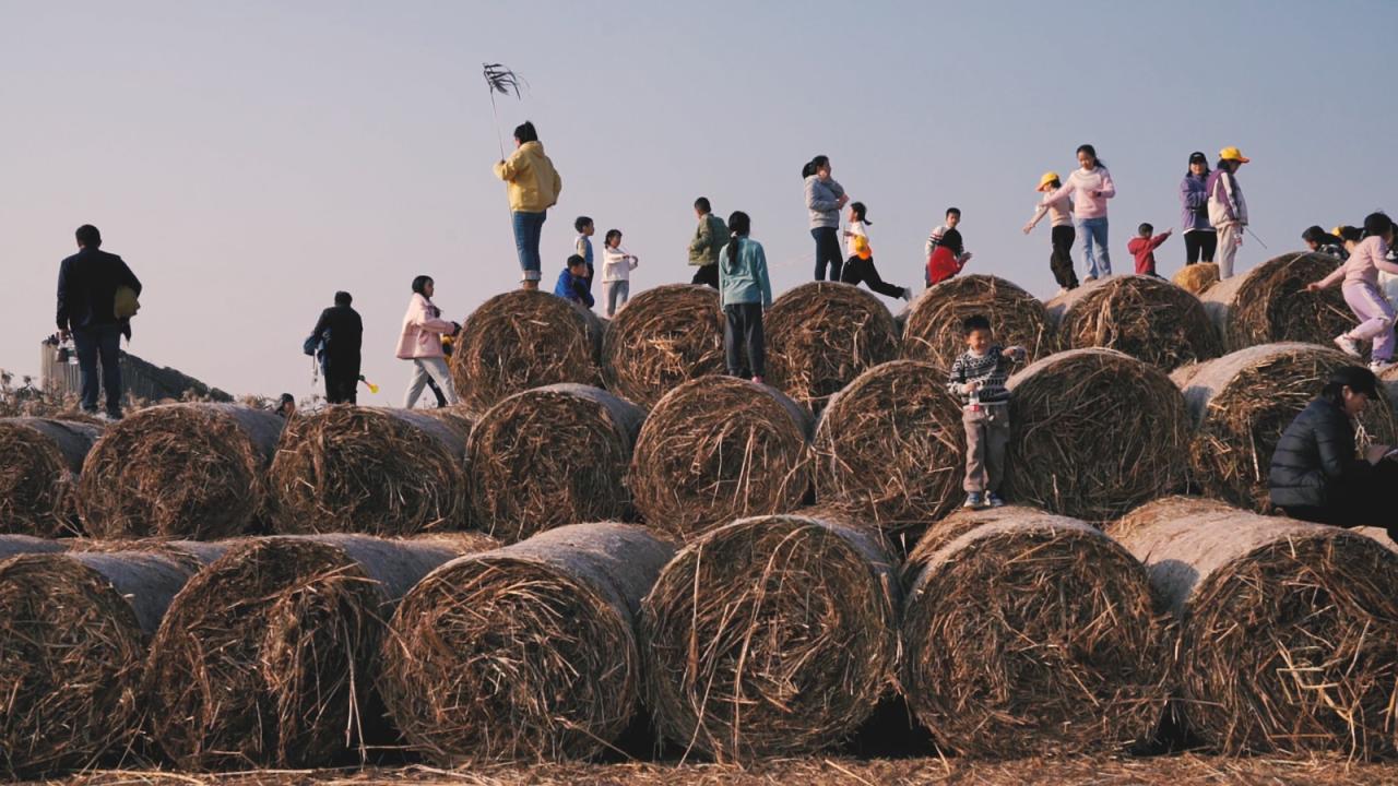 BIM建筑|疗愈之“山” / 杜扬工作室