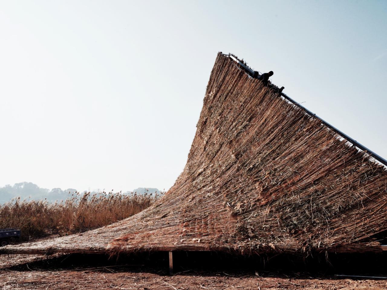 BIM建筑|疗愈之“山” / 杜扬工作室